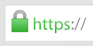 Berjayaweb SSL Certificate 2