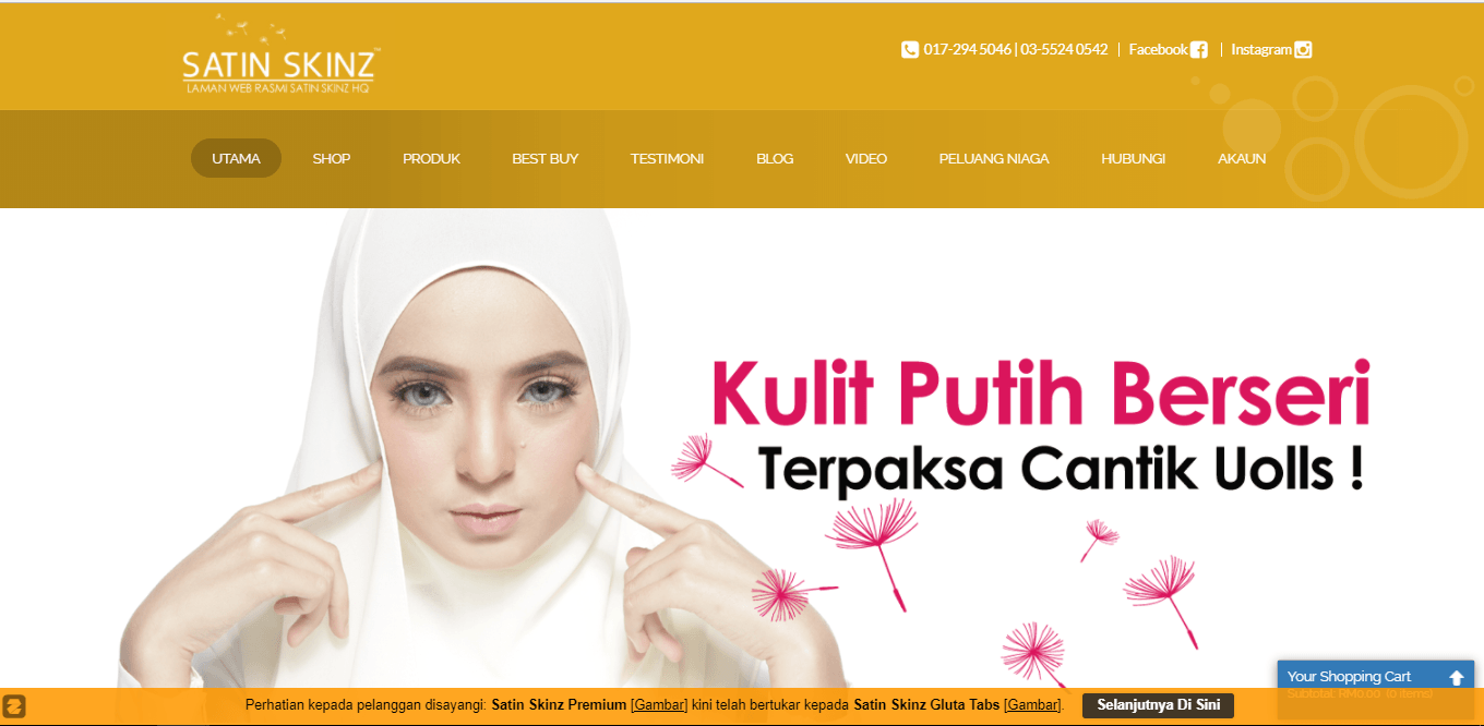 pakej laman web, pakej laman web, laman web murah, pembuat web murah